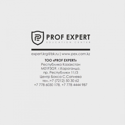  Prof Expert